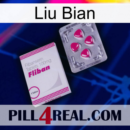 Liu Bian 32
